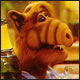 Alf